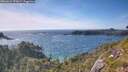 ./images/calvert/foggy-cove/20260623/foggy-cove20260623_175001M.jpg