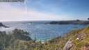 ./images/calvert/foggy-cove/20260623/foggy-cove20260623_180001M.jpg