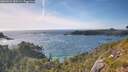 ./images/calvert/foggy-cove/20260623/foggy-cove20260623_180501M.jpg