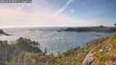 ./images/calvert/foggy-cove/20260623/foggy-cove20260623_182501M.jpg