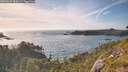 ./images/calvert/foggy-cove/20260623/foggy-cove20260623_185001M.jpg
