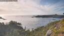 ./images/calvert/foggy-cove/20260623/foggy-cove20260623_192002M.jpg