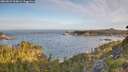 ./images/calvert/foggy-cove/20260624/foggy-cove20260624_064001M.jpg