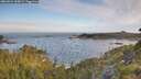 ./images/calvert/foggy-cove/20260624/foggy-cove20260624_065001M.jpg