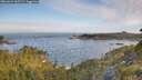 ./images/calvert/foggy-cove/20260624/foggy-cove20260624_065501M.jpg