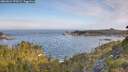 ./images/calvert/foggy-cove/20260624/foggy-cove20260624_070501M.jpg