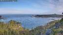 ./images/calvert/foggy-cove/20260624/foggy-cove20260624_071501M.jpg