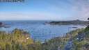 ./images/calvert/foggy-cove/20260624/foggy-cove20260624_072001M.jpg