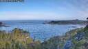 ./images/calvert/foggy-cove/20260624/foggy-cove20260624_073001M.jpg