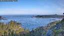 ./images/calvert/foggy-cove/20260624/foggy-cove20260624_073501M.jpg