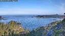 ./images/calvert/foggy-cove/20260624/foggy-cove20260624_074002M.jpg