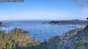 ./images/calvert/foggy-cove/20260624/foggy-cove20260624_074501M.jpg