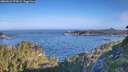 ./images/calvert/foggy-cove/20260624/foggy-cove20260624_075001M.jpg