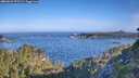 ./images/calvert/foggy-cove/20260624/foggy-cove20260624_075501M.jpg