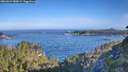 ./images/calvert/foggy-cove/20260624/foggy-cove20260624_080001M.jpg