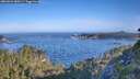 ./images/calvert/foggy-cove/20260624/foggy-cove20260624_080501M.jpg