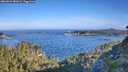 ./images/calvert/foggy-cove/20260624/foggy-cove20260624_081001M.jpg