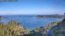 ./images/calvert/foggy-cove/20260624/foggy-cove20260624_081502M.jpg