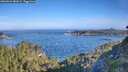 ./images/calvert/foggy-cove/20260624/foggy-cove20260624_082001M.jpg