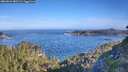 ./images/calvert/foggy-cove/20260624/foggy-cove20260624_082501M.jpg