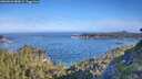 ./images/calvert/foggy-cove/20260624/foggy-cove20260624_083001M.jpg