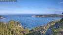 ./images/calvert/foggy-cove/20260624/foggy-cove20260624_083501M.jpg