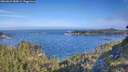 ./images/calvert/foggy-cove/20260624/foggy-cove20260624_084001M.jpg