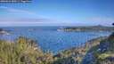 ./images/calvert/foggy-cove/20260624/foggy-cove20260624_085001M.jpg