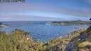 ./images/calvert/foggy-cove/20260624/foggy-cove20260624_090501M.jpg
