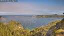 ./images/calvert/foggy-cove/20260624/foggy-cove20260624_091001M.jpg
