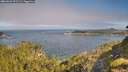 ./images/calvert/foggy-cove/20260624/foggy-cove20260624_091501M.jpg