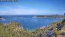 ./images/calvert/foggy-cove/20260624/foggy-cove20260624_101501M.jpg