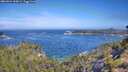 ./images/calvert/foggy-cove/20260624/foggy-cove20260624_102001M.jpg
