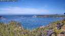 ./images/calvert/foggy-cove/20260624/foggy-cove20260624_105501M.jpg