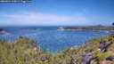 ./images/calvert/foggy-cove/20260624/foggy-cove20260624_110002M.jpg