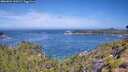 ./images/calvert/foggy-cove/20260624/foggy-cove20260624_110501M.jpg