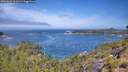 ./images/calvert/foggy-cove/20260624/foggy-cove20260624_112501M.jpg