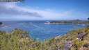 ./images/calvert/foggy-cove/20260624/foggy-cove20260624_113001M.jpg