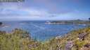 ./images/calvert/foggy-cove/20260624/foggy-cove20260624_113501M.jpg