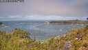 ./images/calvert/foggy-cove/20260624/foggy-cove20260624_121501M.jpg