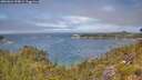 ./images/calvert/foggy-cove/20260624/foggy-cove20260624_123001M.jpg