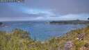 ./images/calvert/foggy-cove/20260624/foggy-cove20260624_123501M.jpg
