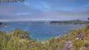 ./images/calvert/foggy-cove/20260624/foggy-cove20260624_130501M.jpg