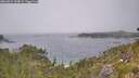 ./images/calvert/foggy-cove/20260624/foggy-cove20260624_134001M.jpg