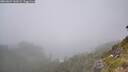 ./images/calvert/foggy-cove/20260624/foggy-cove20260624_141001M.jpg