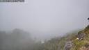 ./images/calvert/foggy-cove/20260624/foggy-cove20260624_142001M.jpg