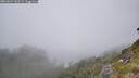./images/calvert/foggy-cove/20260624/foggy-cove20260624_142501M.jpg