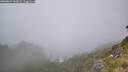 ./images/calvert/foggy-cove/20260624/foggy-cove20260624_143002M.jpg