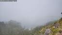 ./images/calvert/foggy-cove/20260624/foggy-cove20260624_143501M.jpg