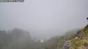 ./images/calvert/foggy-cove/20260624/foggy-cove20260624_150001M.jpg